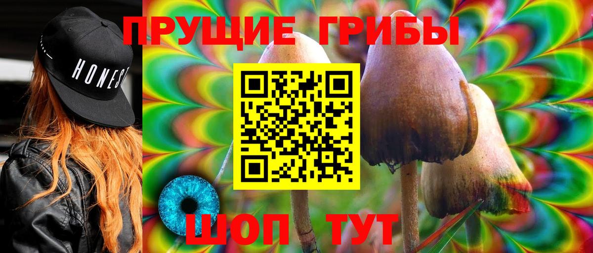 Галлюциногенные грибы прущие грибы Луховицы