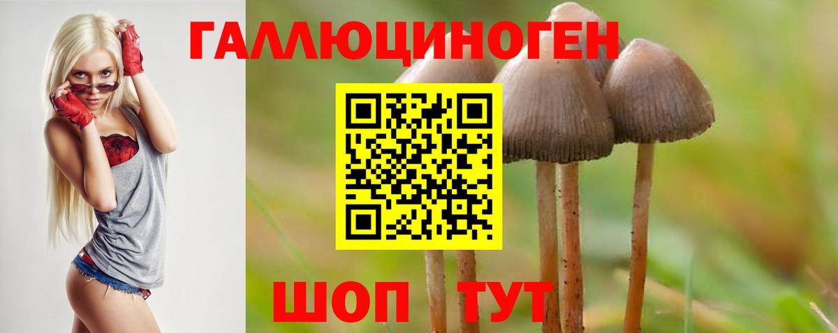 Псилоцибиновые грибы Psilocybine cubensis  Вход с VPN  Луховицы  Псилоцибиновые грибы мицелий 